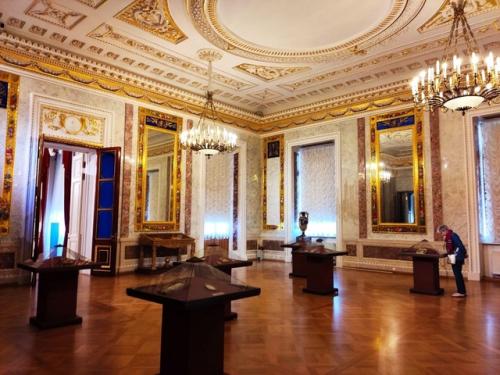 Днями собрались с подружкой в михайловский дворец на выставку карла Брюллова, но народу! 05