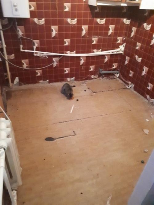 Сделал ремонт на кухне за 1, 5 месяцев! 01