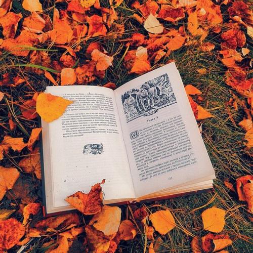 10 дел, которые нужно сделать осенью. 10 дел, которые нужно сделать осенью.