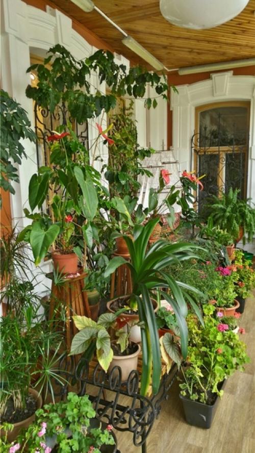 В этом году исполняется ровно 120 лет особняку Клодта особнякклодта - чудесному теремку на улице Куйбышева. 07