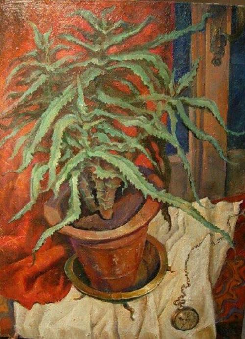 В доме должен быть кот. 04