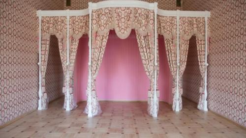 Александровский дворец в царском селе мемориальным музеем дома романовых станет. 03