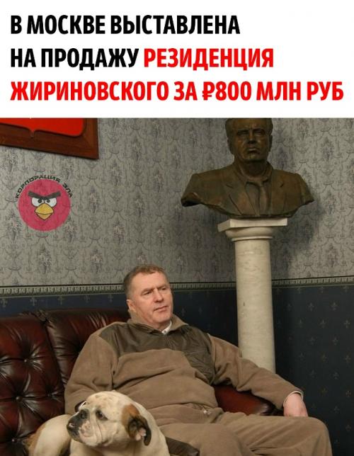 На территории - четыре корпуса по 500 квадратов, парковка на 50 машин и собственный лес из голубых елей.