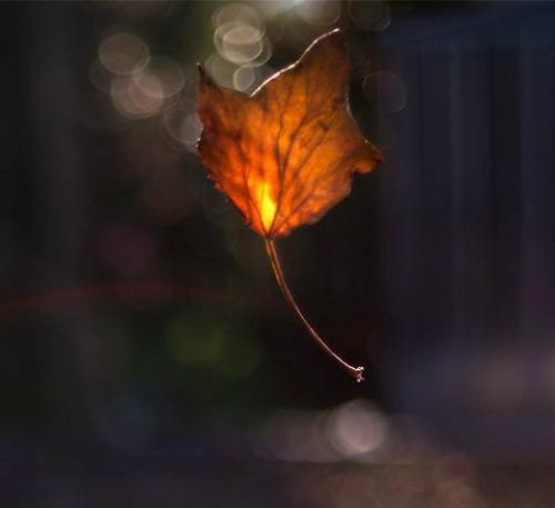 Мы расширяем словарный запас. 02 Мы расширяем словарный запас. 02