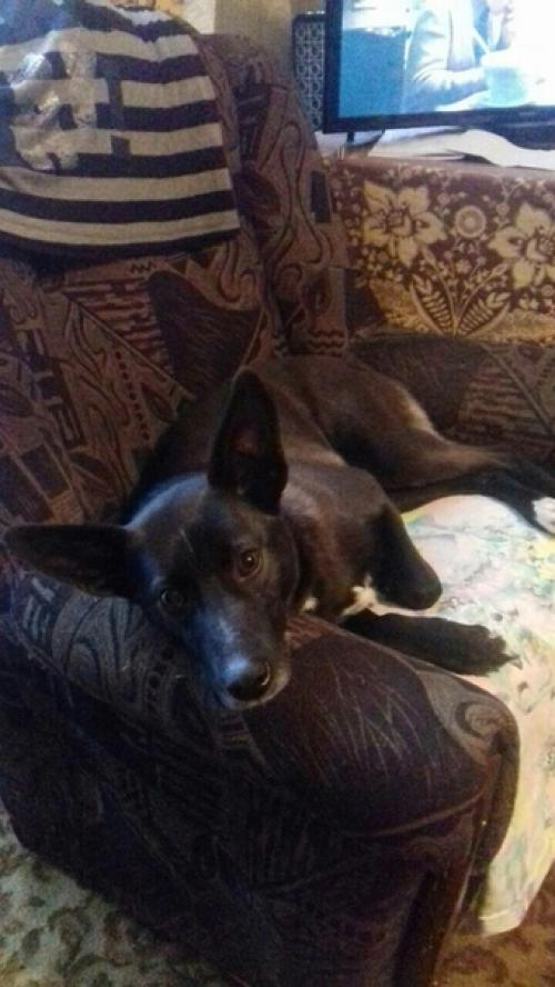 Привет из дома! 03