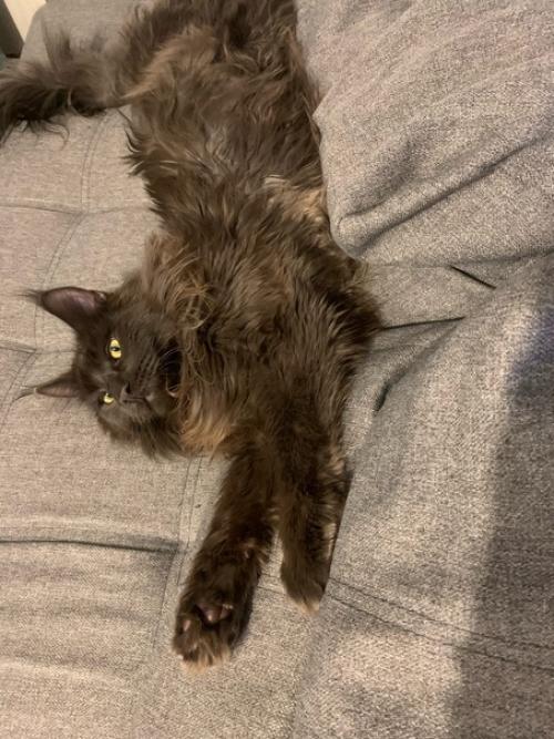 Советы по дизайну интерьеров. 01