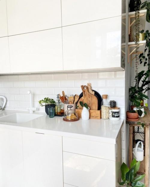 Ирина из Волгограда свою белоснежную квартиру в зеленые джунгли превращает. 03