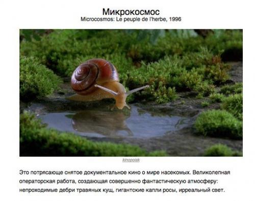 10 шикарных фильмов, о которых вы, скорее всего, никогда не слышали. 07