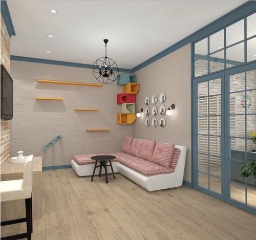 В случае если в доме есть кошка, жизнь рано или поздно начинает крутиться вокруг нее. 02