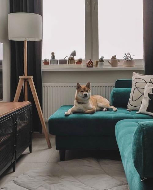 Вариант дизайна кухни - гостиной, площадь которой (19 кв. 02