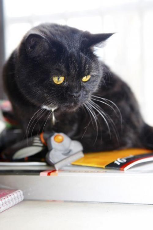 Необычные кафе москвы. 05