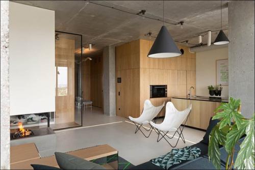 Часть 1. киевский пентхаус с живой стеной и удивительным видом из окна. 05