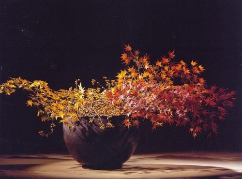 Куда сходить в Москве в выходные с 15 по 16 октября? 03