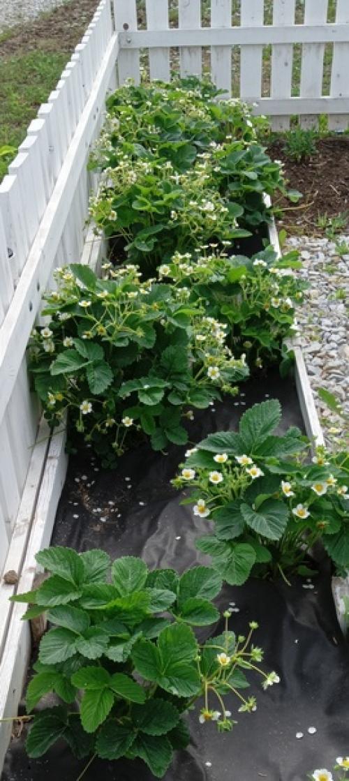 Очень красивые интерьеры вы публикуете, смотрю и мечтаю. 04