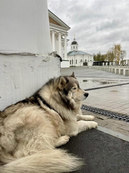 Арзамас - Городок - от Москвы Уголок, говорили в старину. 06