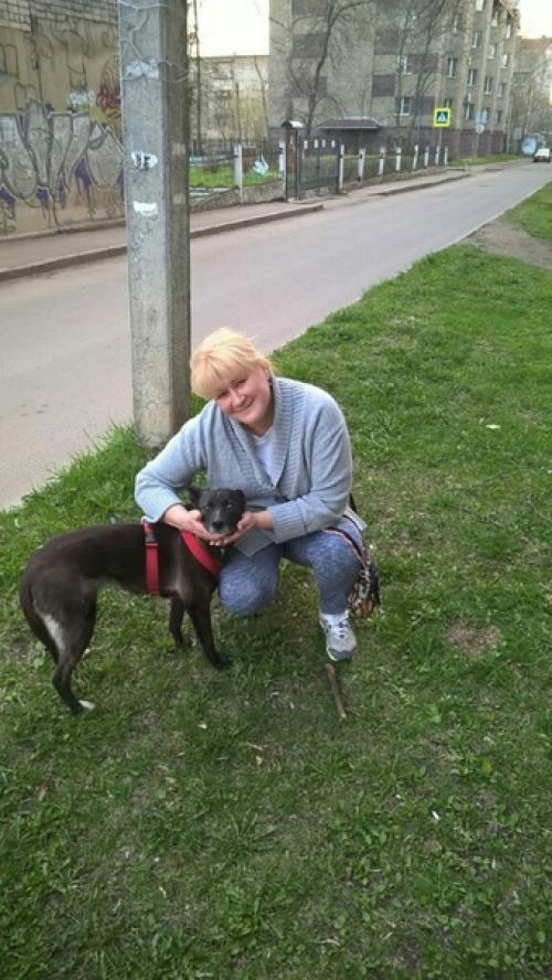 Привет из дома!