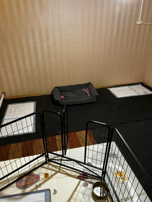 Покажу красивое!   Наконец - то привела спальню в порядок. 02