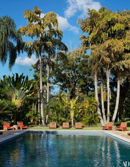 В_гостях_у_звезды: фазенда Ленни кравица в Бразилии. 01