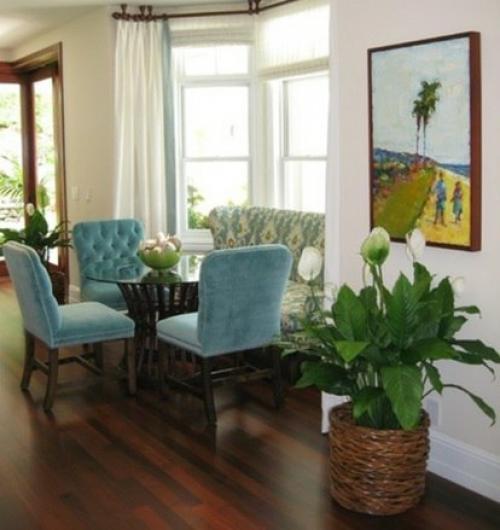 10 Неубиваемых растений для вашего дома. 05