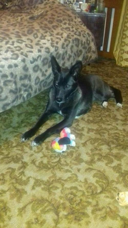 Привет из дома! 01