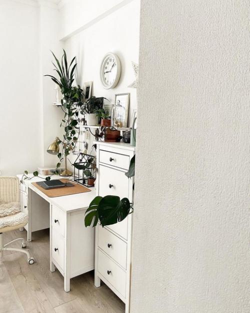 Ирина из Волгограда свою белоснежную квартиру в зеленые джунгли превращает. 05