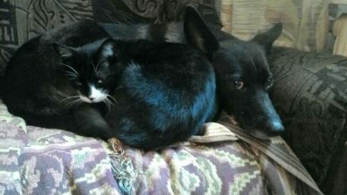 Привет из дома! 04