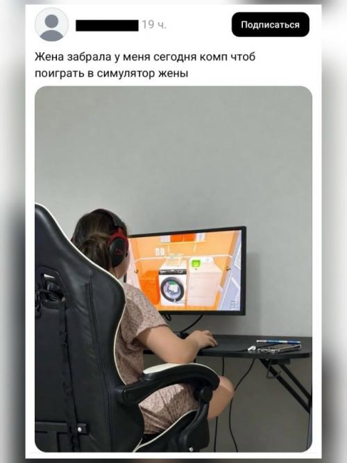 Жена отжала у мужа игровой компьютер, чтобы поиграть в симулятор жены. 01