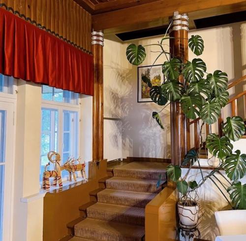 Дача Винтера, что в Карелии на северном берегу Ладоги, на живописном мысу таруниеми (что в переводе с финского - сказочный. 03