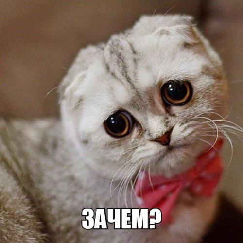 Строгости пост!   Я некомпетентность в сфере проектирования и дизайна интерьера ненавижу. 02