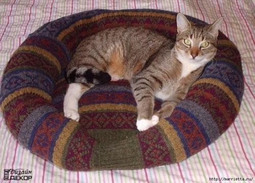 Лежанка для домашнего любимца из свитера.

