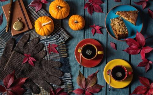 Тёплые кофейни Петербурга. 03