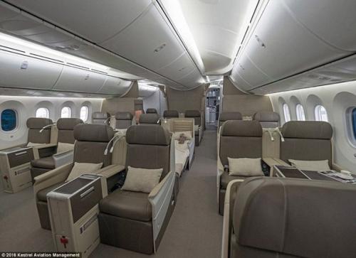 Пятизвездочный отель в облаках: загляните внутрь самого роскошного частного самолета в мире. 06