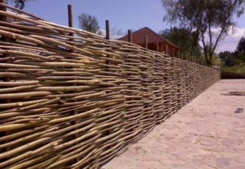 Как сделать забор из лозы винограда и других растений, технология плетения. 05