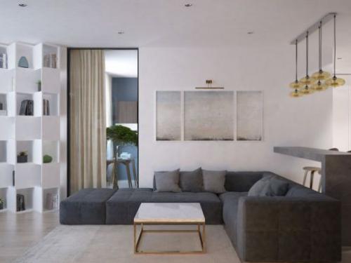 Дизайн интерьера квартиры для супружеской пары. 01