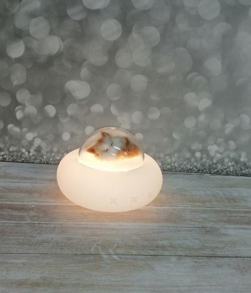 Замечательный и очень полезный подарок для вашего карапуза - светильник - ночник, который можно тискать. 08