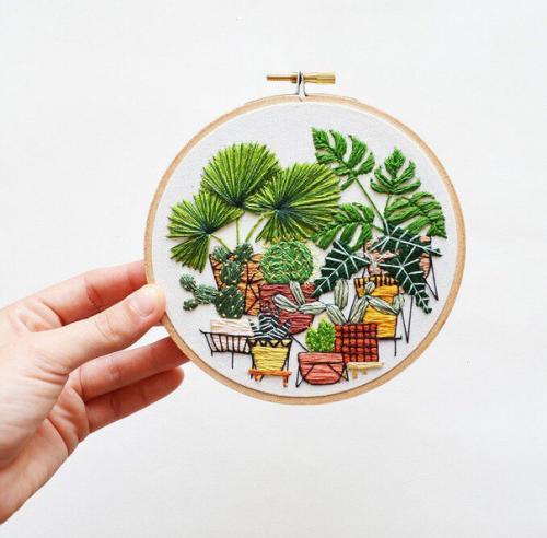 * неприхотливые комнатные растения: 7 вариантов на любой вкус *. 01