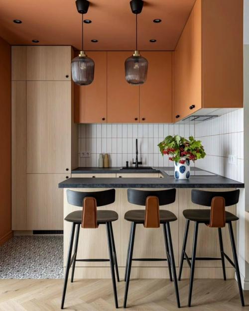 Камерная квартира в Минске с глубокими оттенками. 01