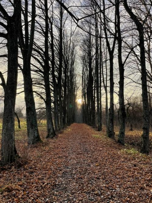 Не перестаю удивиляться тому, сколько всего потрясающе интересного и неизведанного рядом! 03