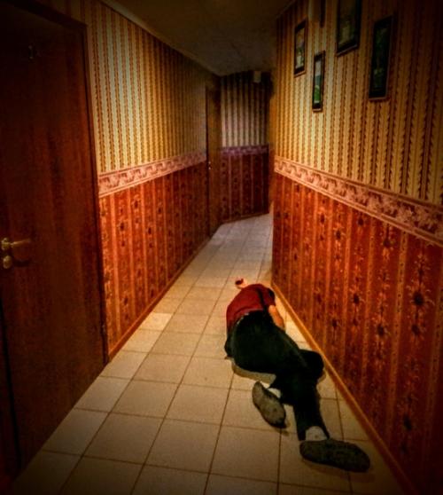 Поселился в гостинице с интерьерами из фильма What we do in the Shadows. 03