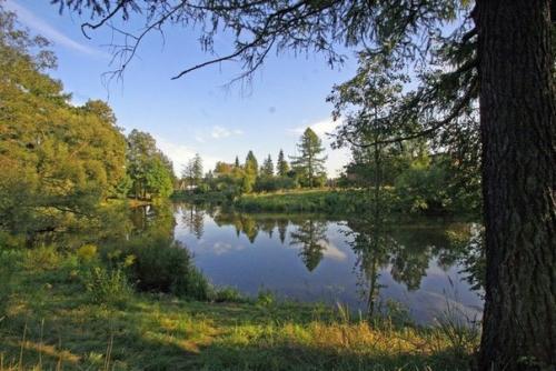 Волчий сад.  Большинство туристов считают, что зелёной зоной царского села служат только знаменитые екатерининский и александровский парки. 04
