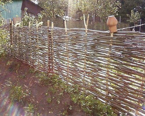 Как сделать забор из лозы винограда и других растений, технология плетения. 07
