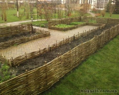 Как сделать забор из лозы винограда и других растений, технология плетения. 03