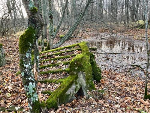 Не перестаю удивиляться тому, сколько всего потрясающе интересного и неизведанного рядом! 02