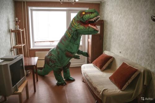 Молодой человек разместил объявление о сдаче однокомнатной квартиры в Тюмени, добавив всего лишь одну изюминку. 03