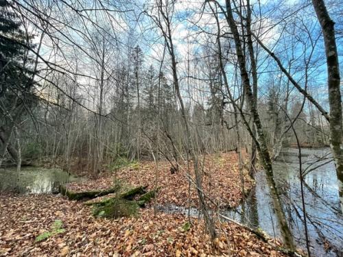 Не перестаю удивиляться тому, сколько всего потрясающе интересного и неизведанного рядом! 05