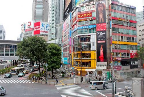 Мечта споттера или Токио за три дня: Вера Быкова поделилась впечатлениями от путешествия в столицу Японии и полёта на Bombardier Dash 8 Q400: 06