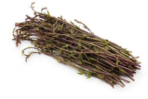 Уход_за_садом@Cvetochniyvodopad. 02