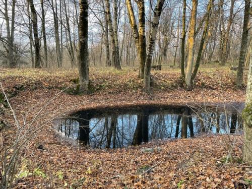 Не перестаю удивиляться тому, сколько всего потрясающе интересного и неизведанного рядом! 04