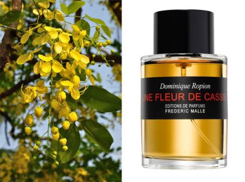 Парфюмерное путешествие по африке. 01