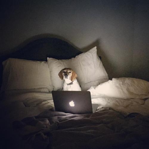 Из избы во дворец. 09 Из избы во дворец. 09